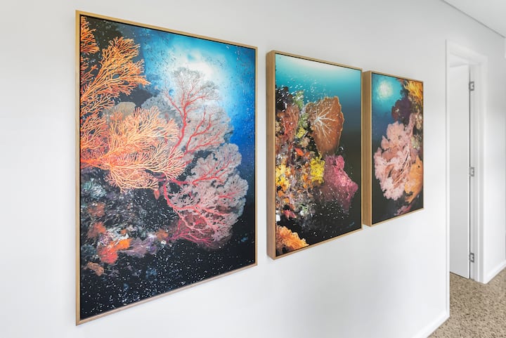 Three large-scale Great Barrier Reef photographs of sea fans and coral on a white wall.