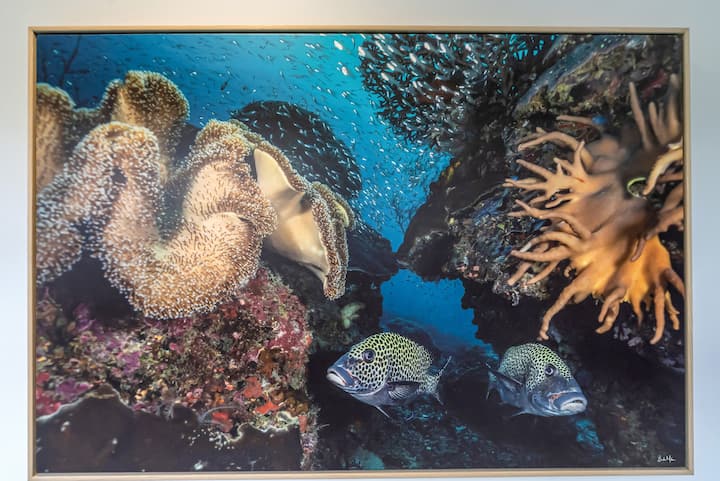 Large photograph of two fish beside coral, "Double Trouble" by Brooke Miles.