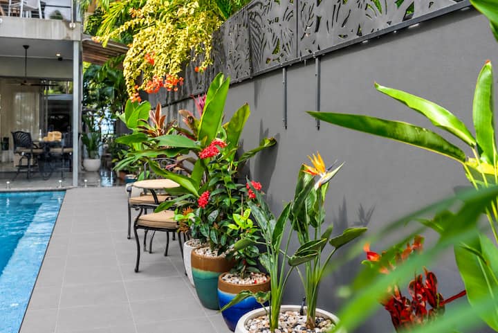 Potted tropical plants and flowers beside the pool.